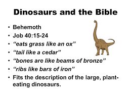 dinosaurs are fake bible
